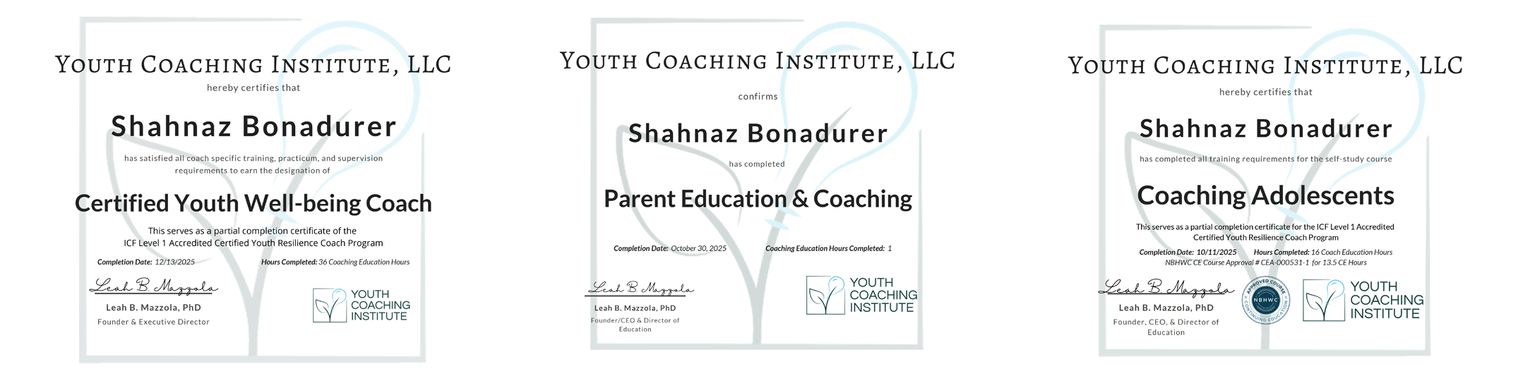 My credentials image